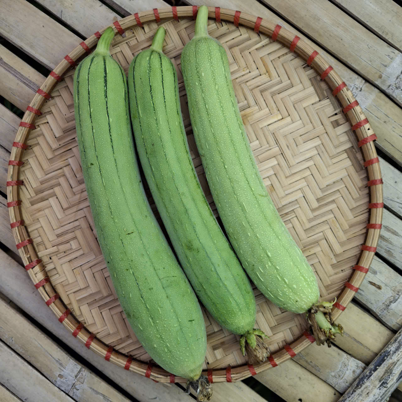 Bồ công anh　あいうえお